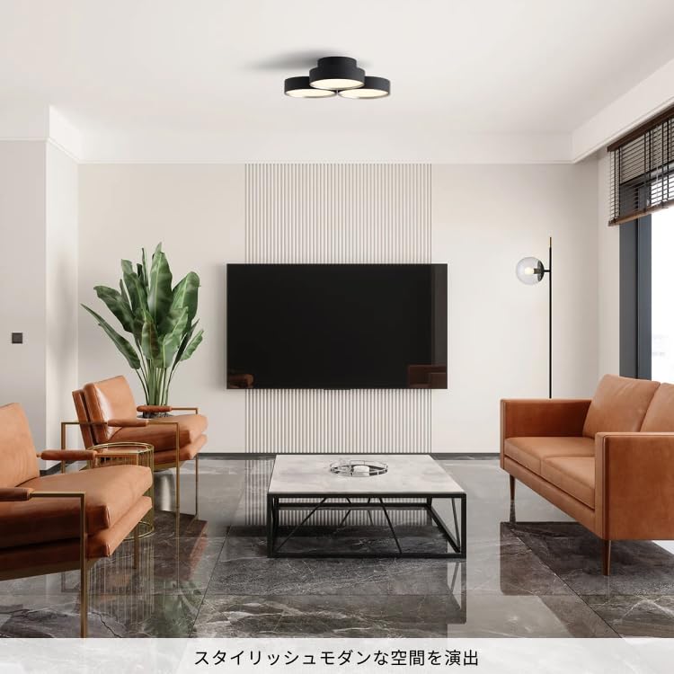 Artwork Studio Phantom LED Ceiling Light, 8-tatami Room Size [LED Bulb Included], 40,000 Hours, Dimmable, Color Adjustable (warmwhite), Indirect