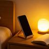 Birch Creative Eco-Friendly Double-Sided Walnut Phone and Tablet Stand