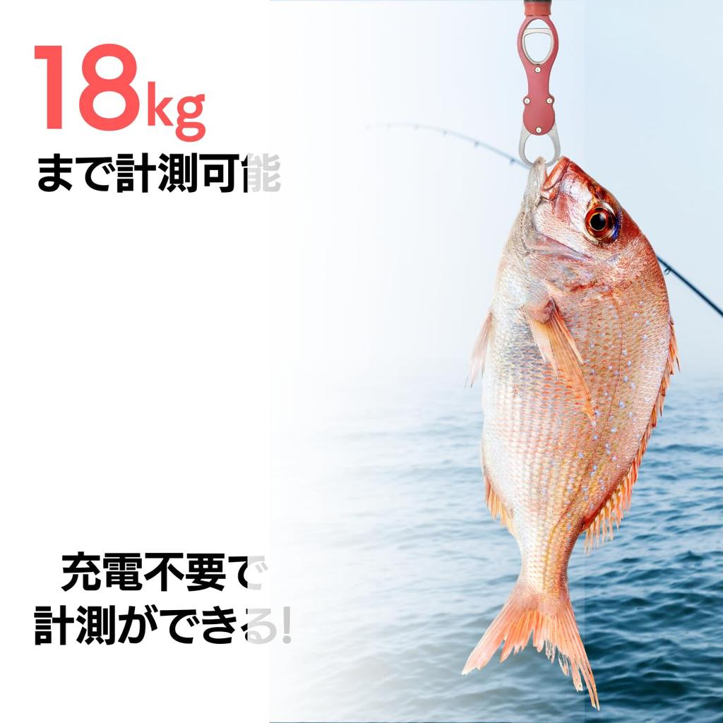 Fish Fish Fish Fish Fish Gripper with Holder with Measuring Grabber, Grip, Catcher, Holder, Carabiner, Function, Rust-Resistant... (Red)