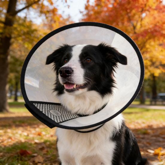 Pet Cone Collar Adjustable Cat Recovery Collar Dog E-Collar Prevents Licking Biting Wound for Postoperative Recovery Bathing And Nail Trimming
