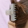 Pearl Jelly Claw Hair Clip 5color