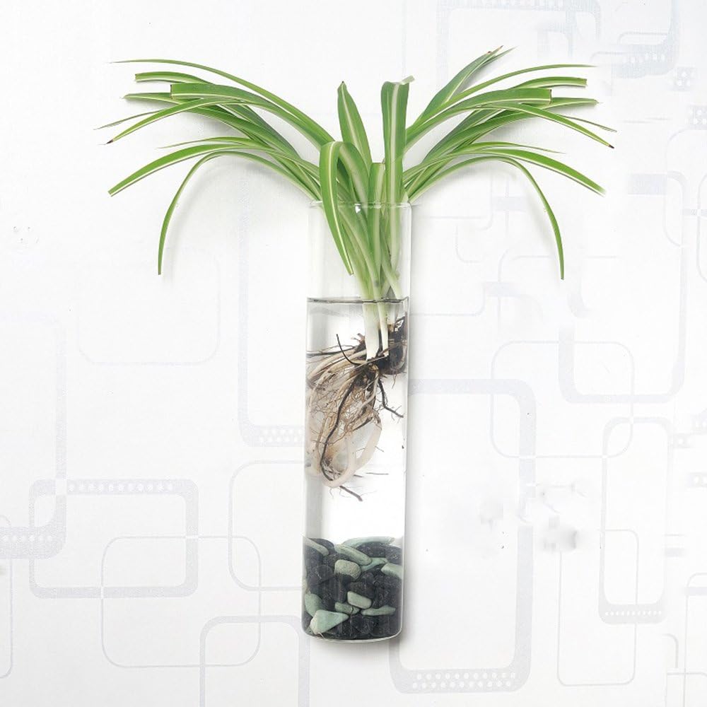 Pack of 2 Crystal Glass Wall Hanging Flower Vase Planter Terrarium Container Flower Pot Cylinder Shape