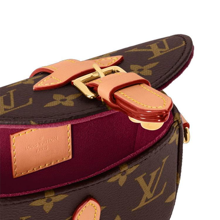 Louis Vuitton Monogram Canvas Saddle Bag With Detachable Shoulder Strap Mini Women Shoulder Bag Brown M46643