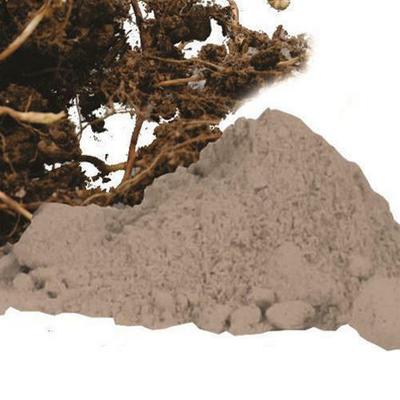 RSINC 100% přírodní a čerstvý prášek z Nagarmothy / Cyperus scariosus - 50 g. JL154279008155