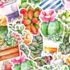 Navy Peony Succulent Watercolor Stickers and Stickers for Water and Journals (21 Sheets) - Cute, Water-Resistant, Long-Lasting Bottles, Laptops,