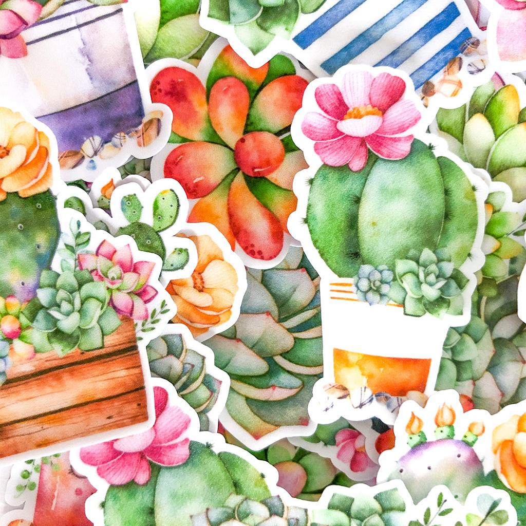 Navy Peony Succulent Watercolor Stickers and Stickers for Water and Journals (21 Sheets) - Cute, Water-Resistant, Long-Lasting Bottles, Laptops,