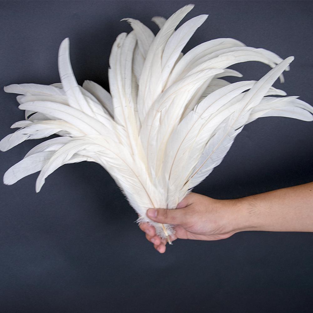 50 ks/lot Přírodní kohoutí ocasní pera pro festivalovou pódiovou dekoraci Plume 25-40 cm 10-16 palců Barvené Různé