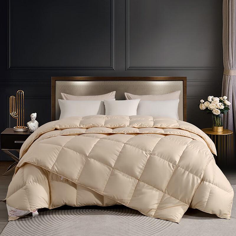 Yamian Premium 90% White Goose Down Winter Quilt