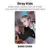 Stray Kids x SKZOO POP-UP STORE 'THE VICTORY' RANDOM PHOTOCARD PACK Official Photocard