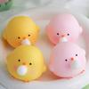 Handmade Cute Blow Bubble Chick Squishy Fidget Toys Decompression Sensory Stress Relief Squeeze Toy For Adults Kids Party Favors