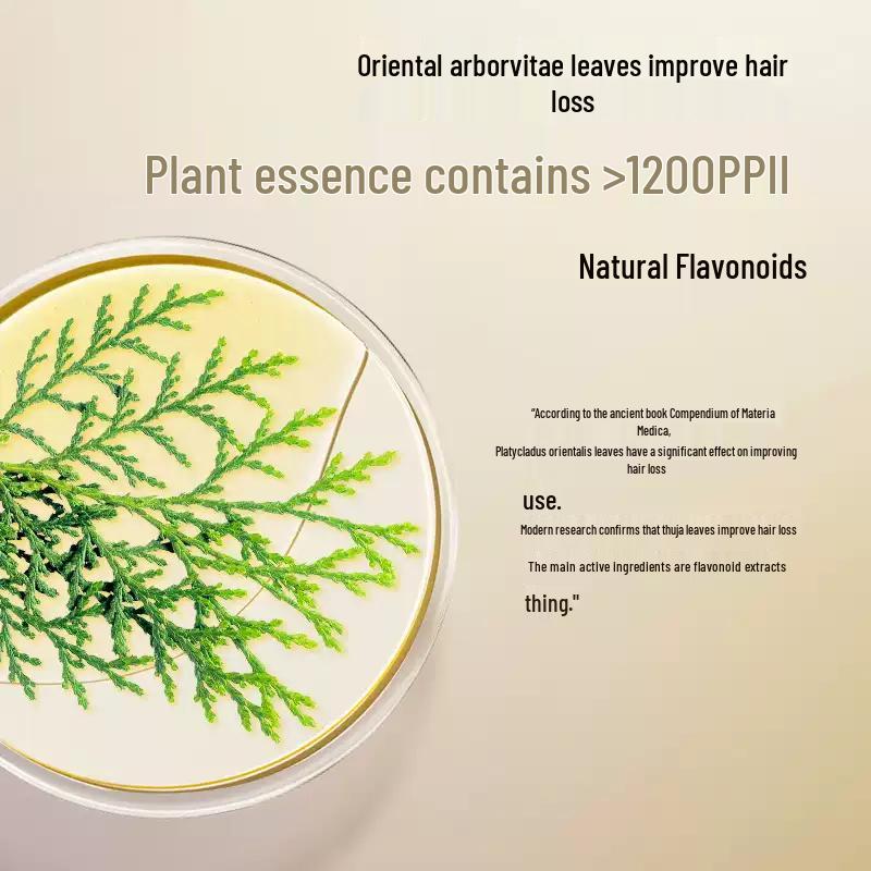 Yang Yuan Qing Anti-Hair Loss & Oil Control Scalp Essence 60ml