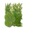 Pressed Dried Leaves Plant for Resin Molds Natural Pressed Dried Leaves For Scrapbooking Soap Candle Jewelry Making