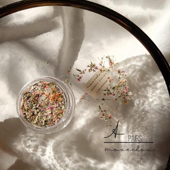 Nail Art Flower Decoration Multiple Color Nail Beauty UV Glue Filler Nail Charm Dried Flower Decoration Nail Supplies