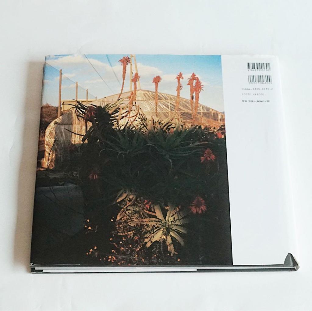 [USED] Millennium Paradise / Shunji Dodo / Photo Collection