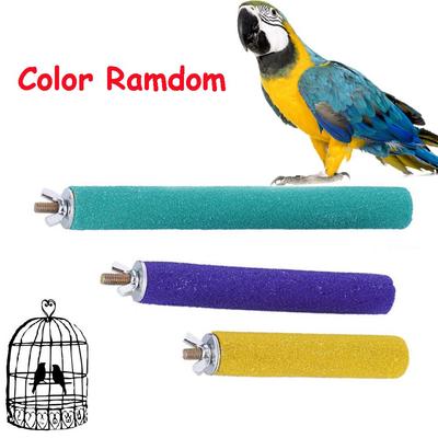 Random Pet Supplies Chew Toy Clean Paw Parrot Perches Stand Paw Grinding Bird Cage Station Platform