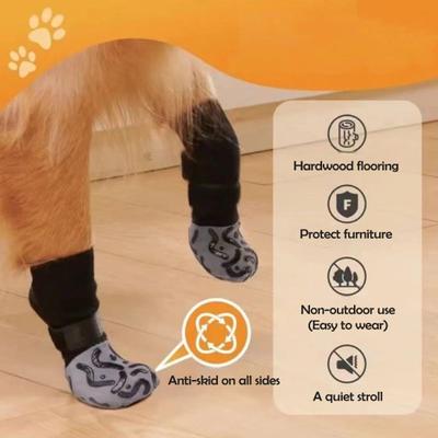 Roupa e sapatos – Sapatos para cães