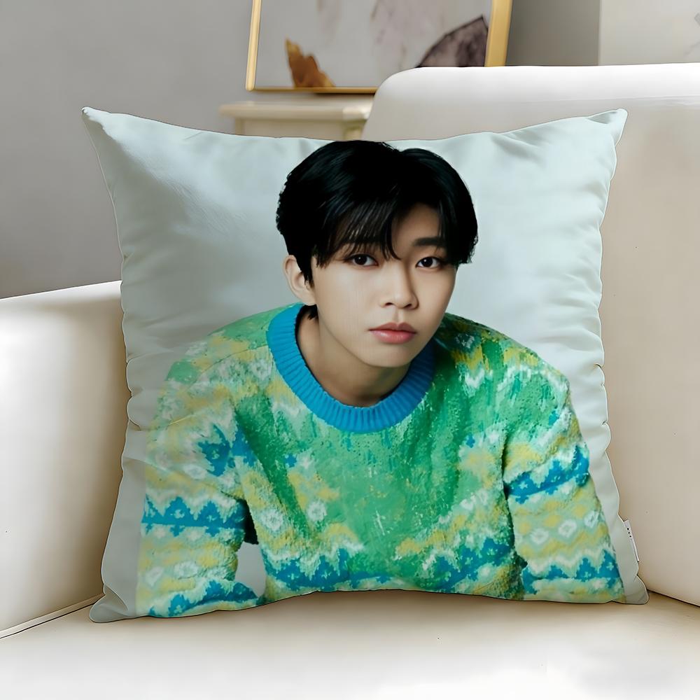 popular singer Lim Young Woong Cushion Cover Soft & Easy-Wash Pillow Case – Versatile for Couch, Bed, Travel and Office