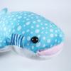 TST Advance Exciting Illustrated Guide Whale Shark 9837 Total Length Approximately 32cm