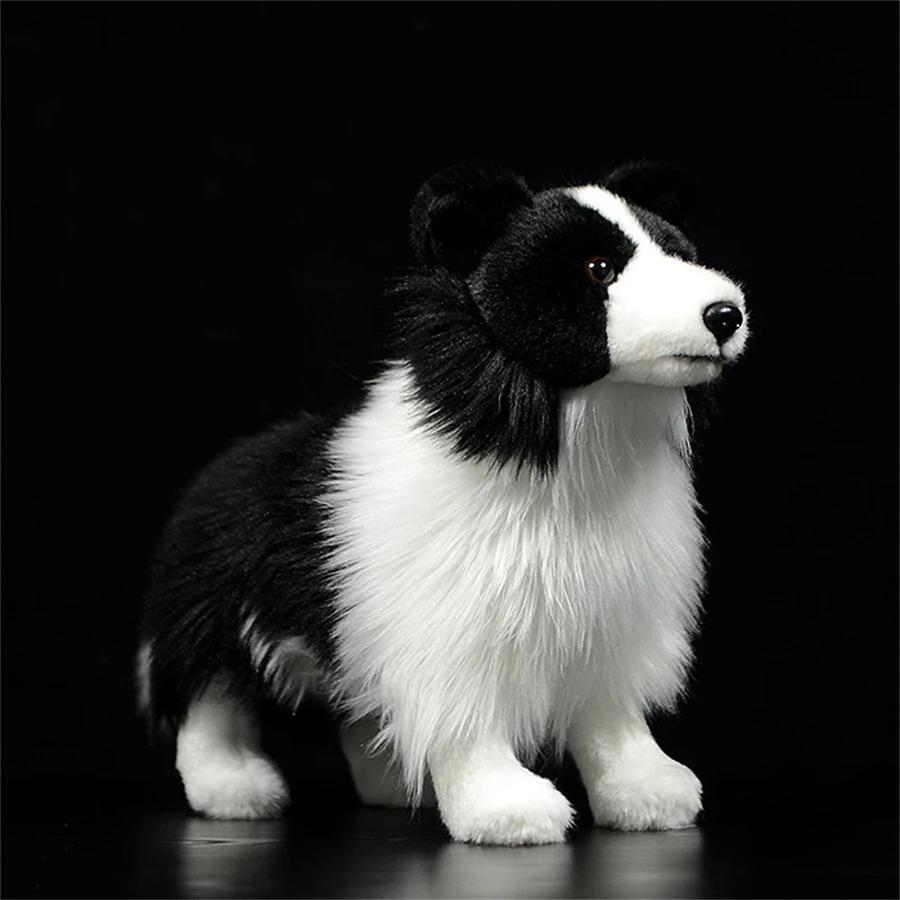 Border Collie Hohe Treue Anime Niedlicher Plüschtier Schäferhund Plüschtiere Lebensechte Tiere Simulation Stofftier Kawaii Spielzeug Geschenke