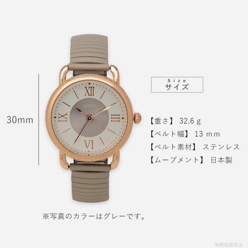 Fieldwork Women's Analog Watch with Bellows and Metal Band, Gray, JN019-4, Raiju