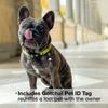 ROOKCRAN Dog Collar Max Molly M Collar Kiwi Stylish Cute Training Pet 115858 &