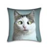 Cute Cat Pillowcase Anime Cartoon Cushion Cover Sofa Home Decor Home Office Pillowcase 45x45cm
