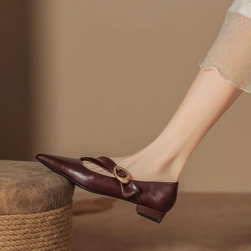 Fashion 2025 Spring Vintage Women Pointed Toe Mary Jane Shoes Fashion Shallow Thick Heel Wedding Party Shoes