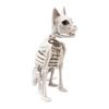Sitting Cat Skeleton Halloween Decoration 15x24x34cm Multipurpose for Courtyard Decor Sturdy White