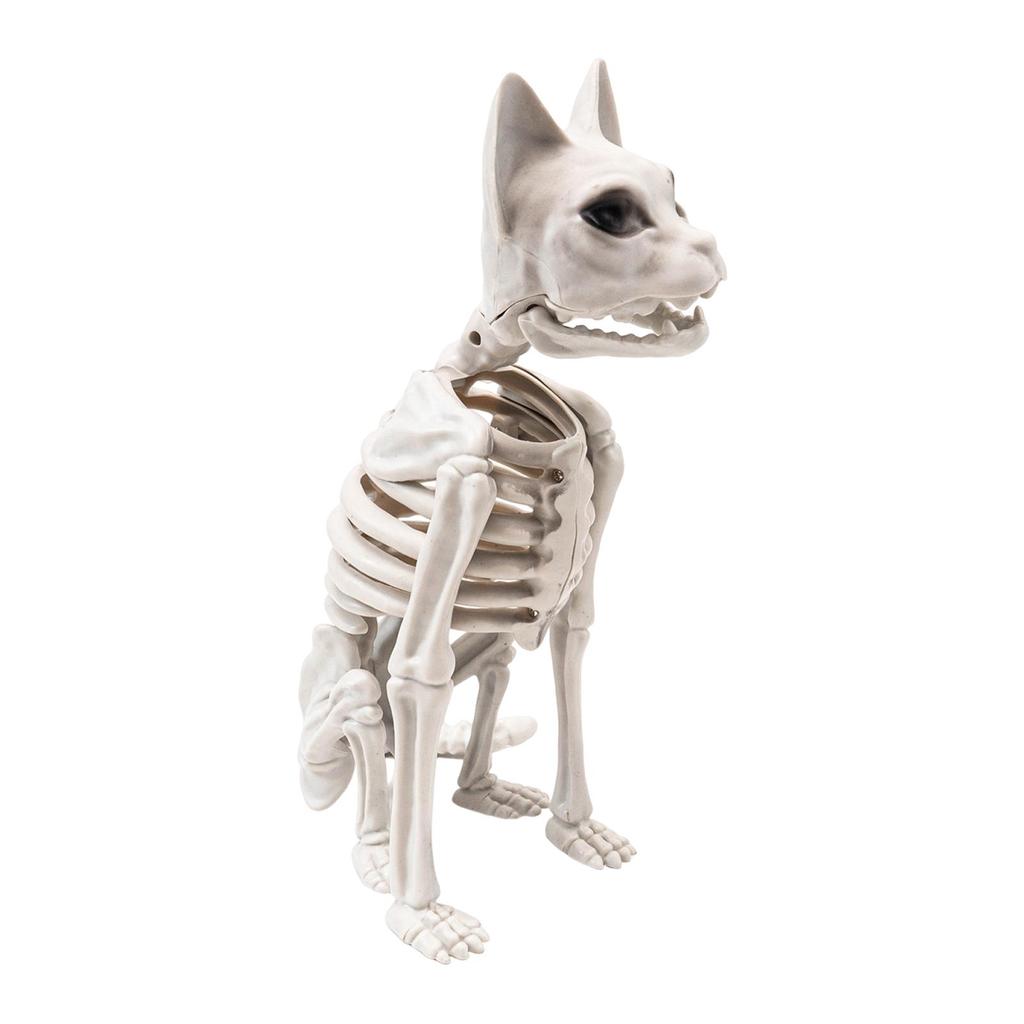 Sitting Cat Skeleton Halloween Decoration 15x24x34cm Multipurpose for Courtyard Decor Sturdy White
