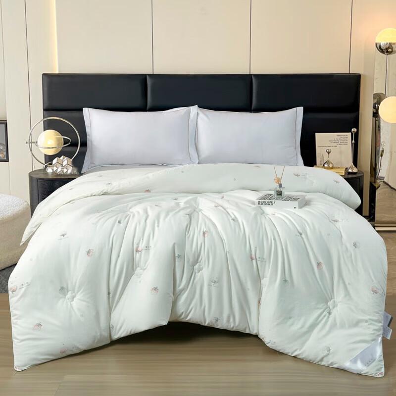 

BAIWEISI Snow Cotton Warm Winter Quilt