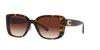 Coach Sonnenbrille HC8352 CD472 512013 DUNKLE SCHILDPATT 54 Damen