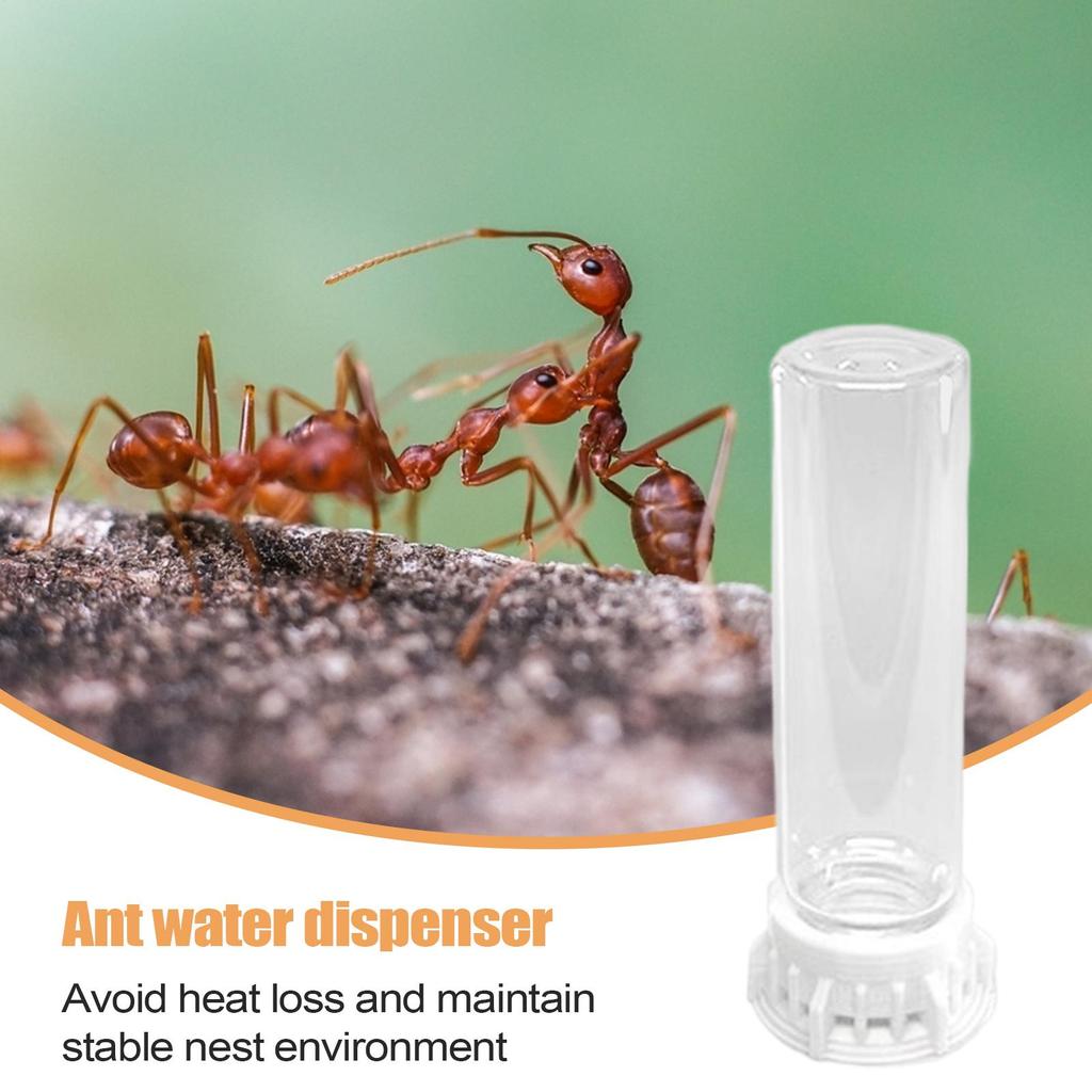 Ant Farm Water Feeder Transparent Pet Farm Water Bowls Leakproof Portable Ant Nest Accessories Heavy Duty Feeding Station For