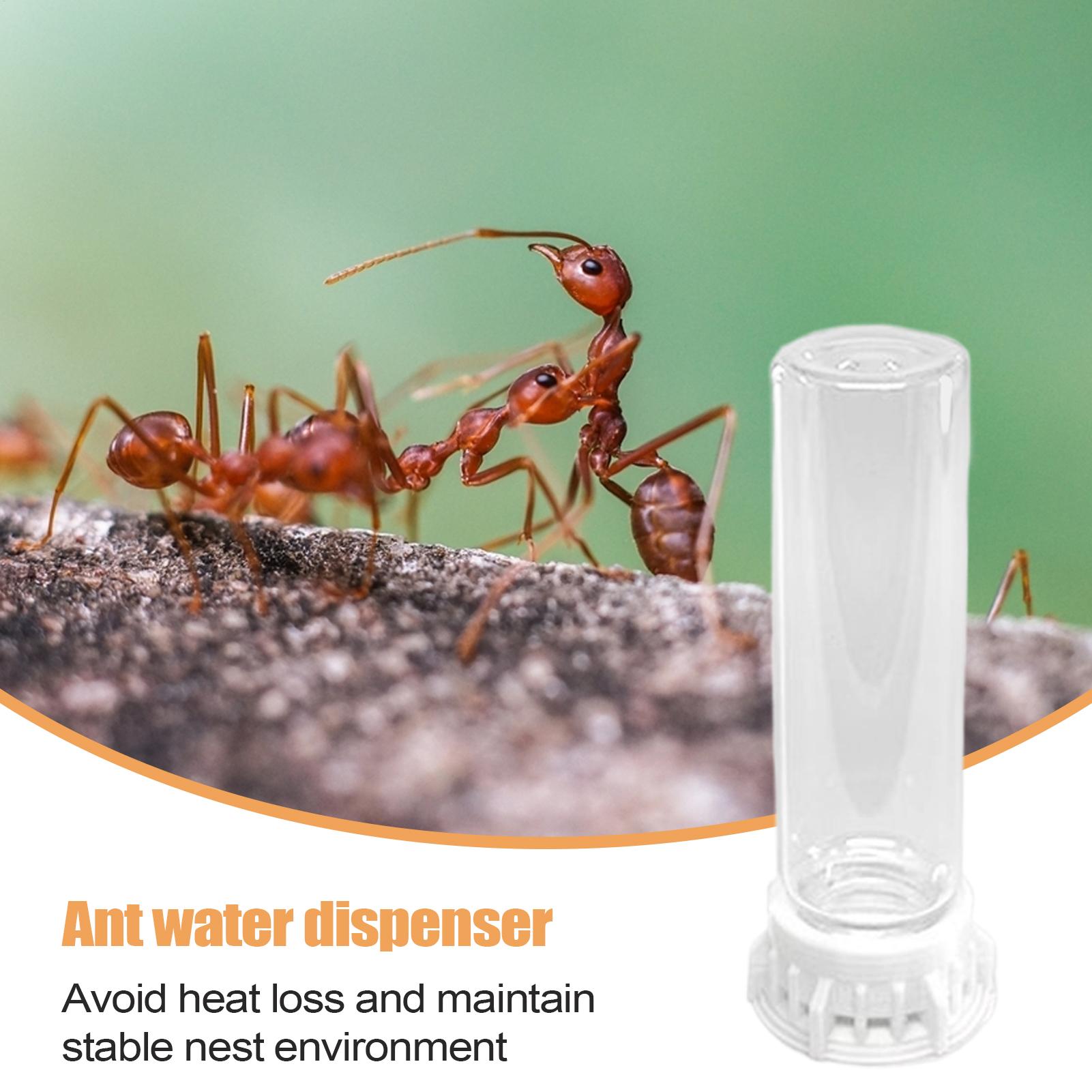 

Ant Farm Water Feeder Transparent Pet Farm Water Bowls Leakproof Portable Ant Nest Accessories Heavy Duty Feeding Station For CHINA