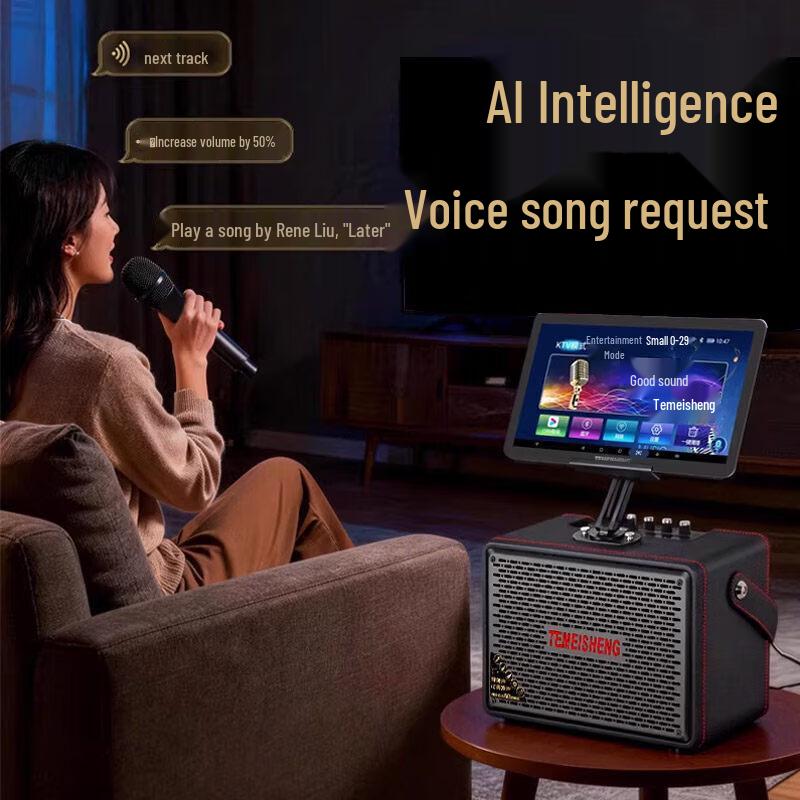 TEMEISHENG Portable Home KTV Karaoke Speaker System (CN version)