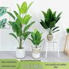 Simulation Traveler's Palm and Bird of Paradise Evergreen Large Potted Plant, 24 Heads, Indoor Floor Standing Bonsai