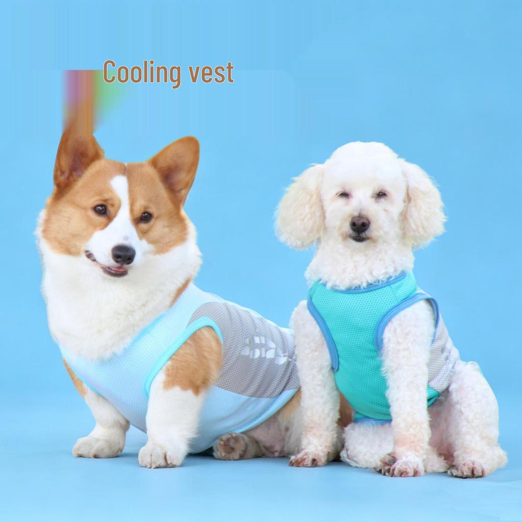 Chong Ta Reflective Cooling Dog Vest for Corgis & French Bulldogs - Summer Thin Style, All Sizes Available