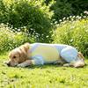 Sun Protection Cooling Dog Jumpsuit Thin Breathable Cooling Suit Dog Sunscreen Costume  Hiking