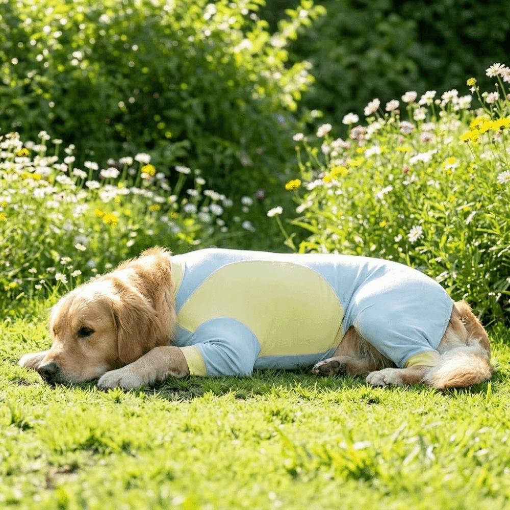 Sun Protection Cooling Dog Jumpsuit Thin Breathable Cooling Suit Dog Sunscreen Costume  Hiking