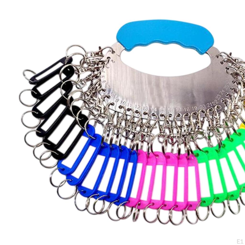 Key Organizer Keychain Holder and 30 Label Tags Lightweight Management