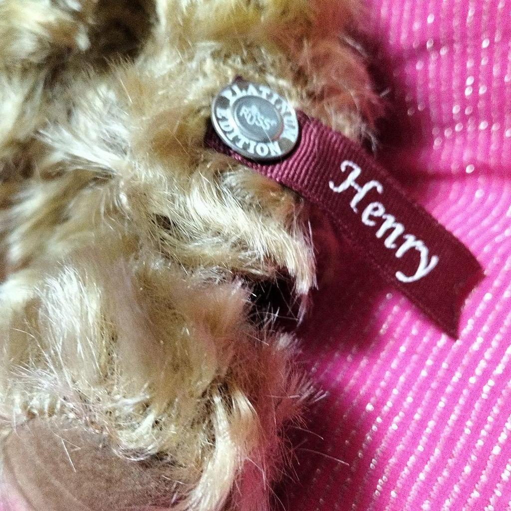 [USED] Fields? Bear, Stuffed Animal, Teddy Bear