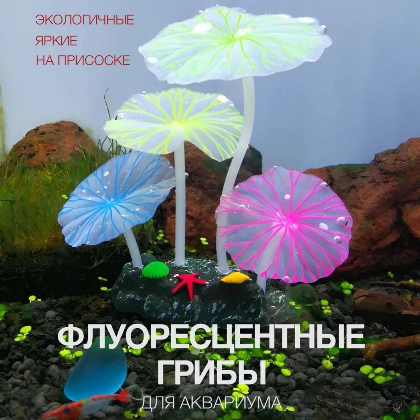 

Декорации для ландшафтного дизайна аквариума, Каменистый пейзаж, Светящиеся водные растения, Флуоресцентные грибы, Листья, Украшения для аквариума, Искусственные One Size