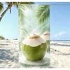 Tropical Green Coconut Print Beach Towel Fresh Coconut Drink Summer Towel Refreshing Island Vibe Coconut Themed Towel for Summer