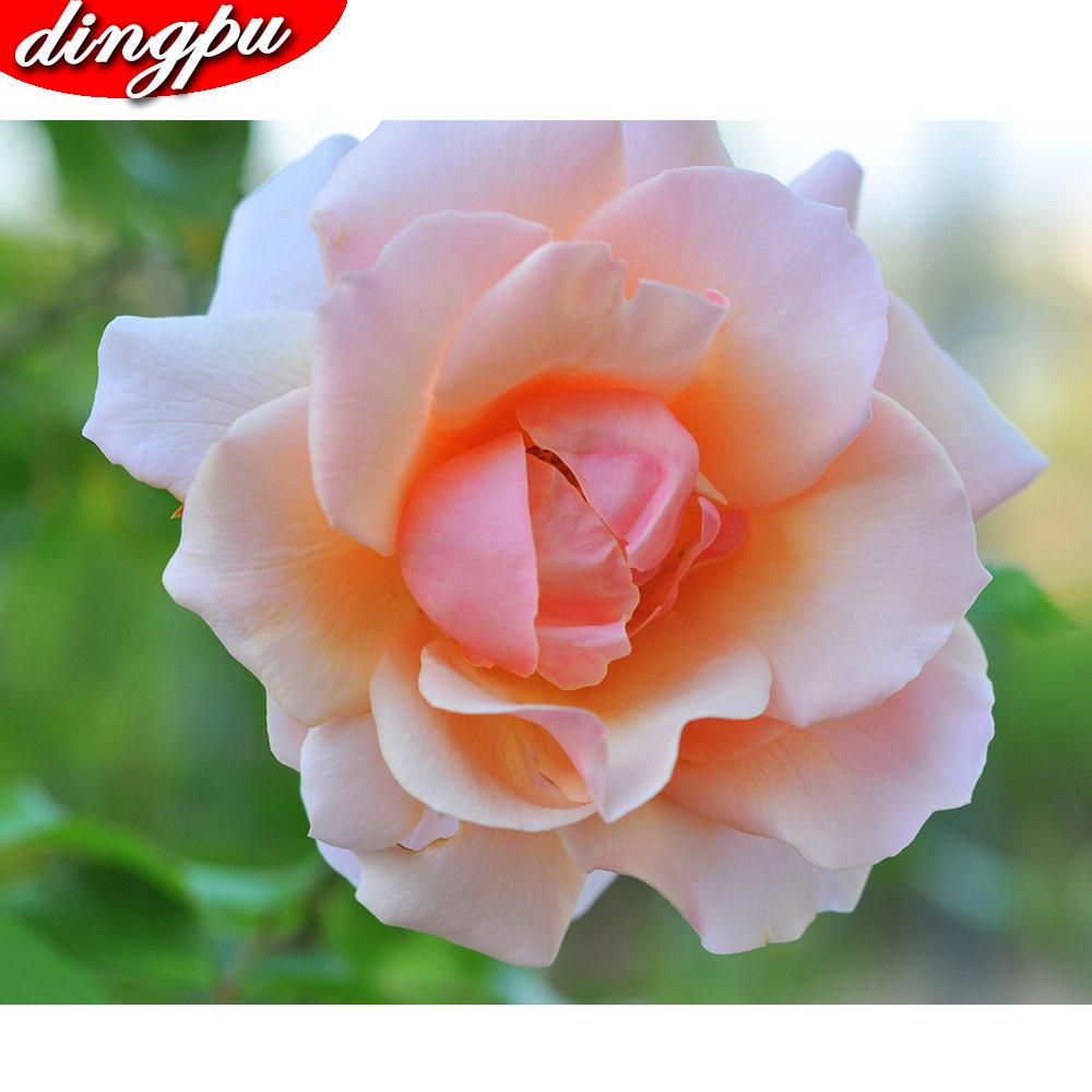 Volledige ronde boor 5D DIY diamant schilderij "Rose bloem" 3D diamant borduurwerk kruissteek Home Decor