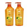 Fenghua Ginger Hair Strengthening Shampoo