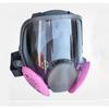 9 In 1 Spraying 6800  Masks  Same Spraying Safety Gas Masks Full Face Masks Masks
