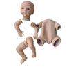10Inch Mini Reborn Doll Kit Nessa  Handy Doll Parts with Body Fresh Color