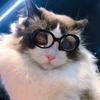 Pet Sunglasses Retro Dogs Round Sunglass Cosplays Accessory for Cats Small Dogs