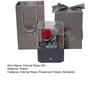 Flocking Bear Figurines with Preserved Rose Eternal Rose with Gift Box Romantic Gift for Girlfriend Wife Valentine's Day Anniversary Gift