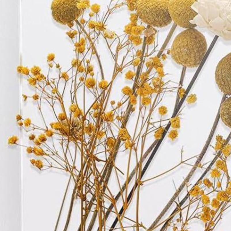 Transparent Acrylic Dried Flower Storage Box Picture Frame Display Storage Sealed Dustproof Box Tabletop Pictures Holder S
