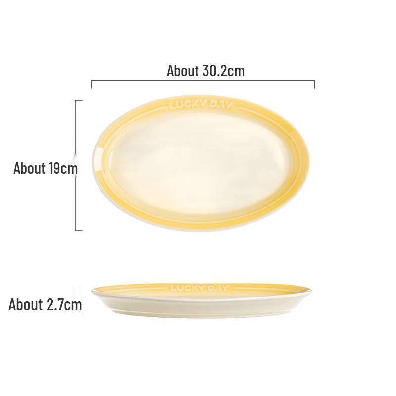 Gradient Ceramic Oval Serving Plate
